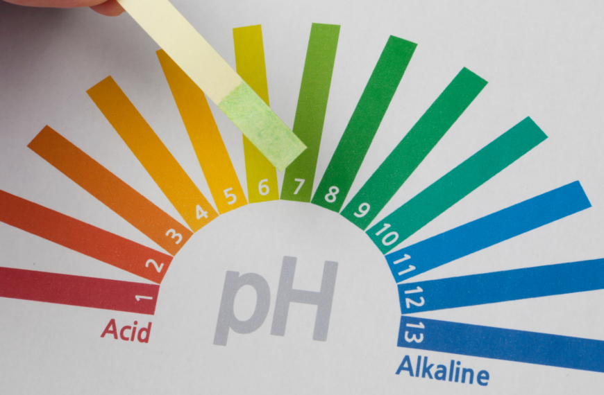 pH Power: Exploring Acidity and Basicity in Everyday Substances