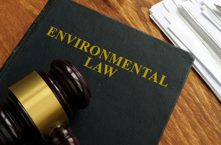 Environmental Law: Climate Change Litigation and Policy Making