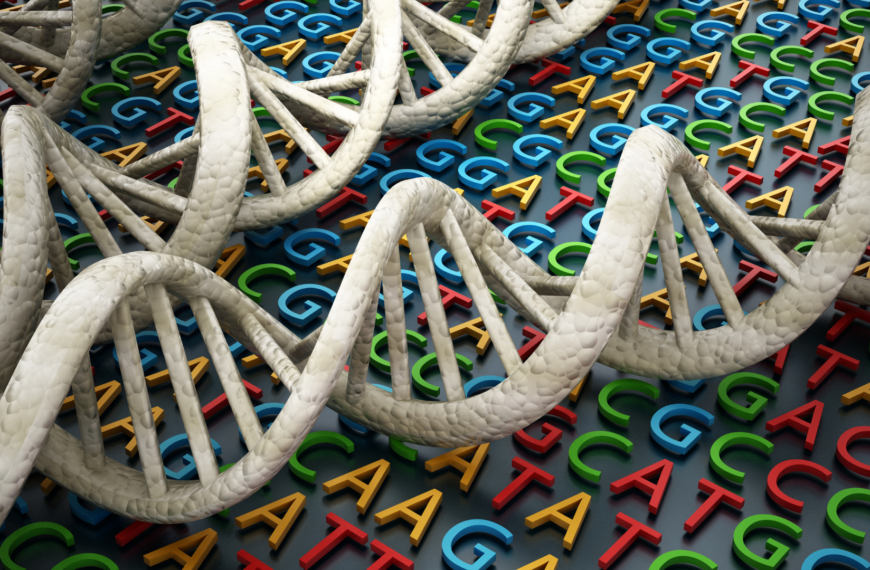 Gene Quest: Exploring Genetic Traits through Bioinformatics