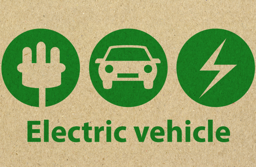 Analysis of India’s Electric Vehicle Economy 