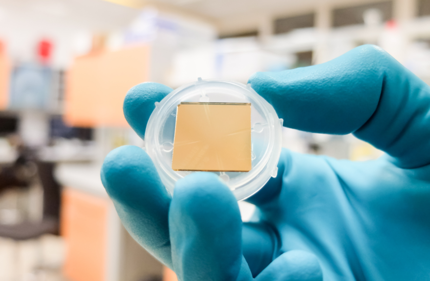 Preclinical drug screening studies using organ-on-chip platforms