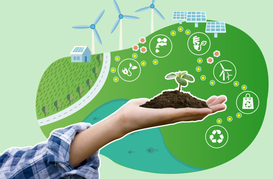 Evaluating Renewable Energy: Sustainability, Efficiency, and Environmental Impact