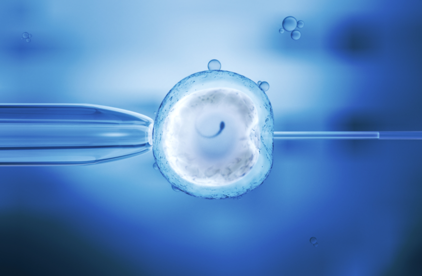 Comparing cryopreservation of tissue versus cell suspensions for Fertility preservation